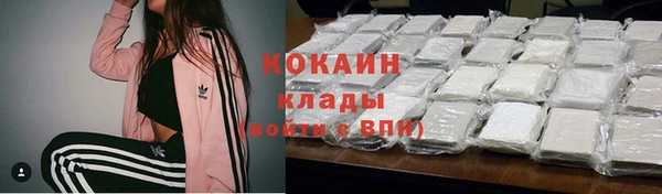 дурь Бронницы