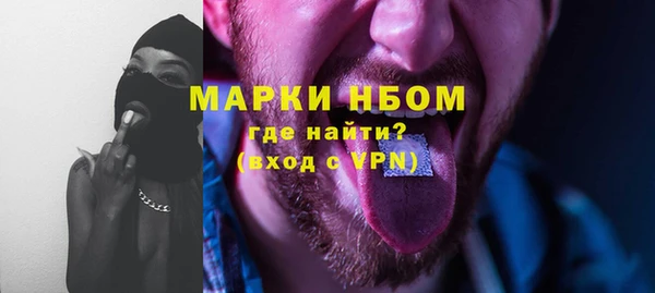 гидра Бородино