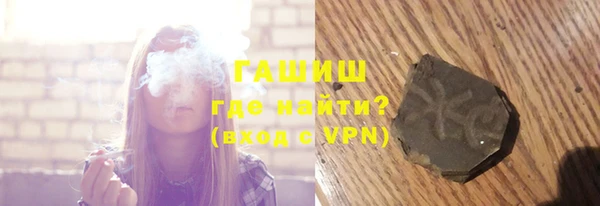гидра Бородино
