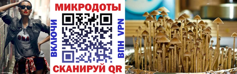 дарк нет состав  Джанкой  Псилоцибиновые грибы мухоморы  цена  